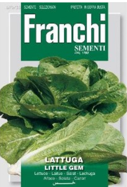 Franchi Seeds of Italy Lettuce Little Gem Seeds