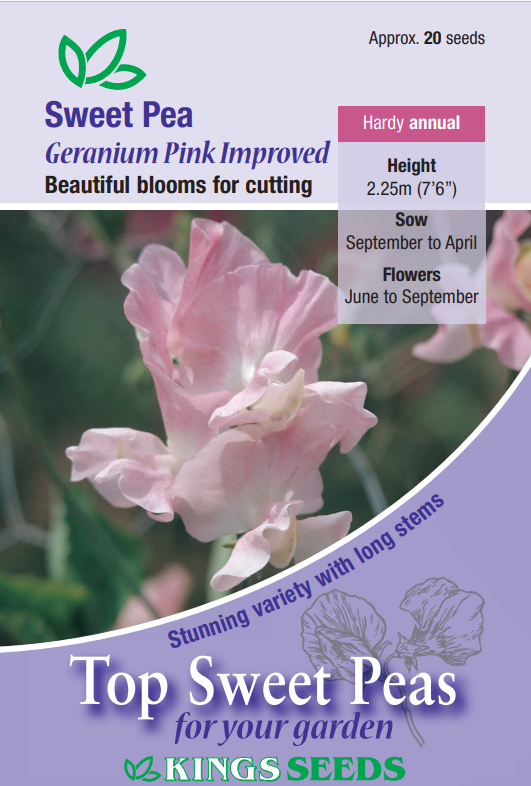 Kings Seeds Sweet Pea Geranium Pink Improved 20 Seeds