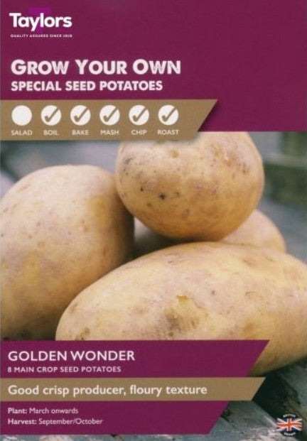 Seed Potatoes Golden Wonder – Maincrop (8 Tubers)