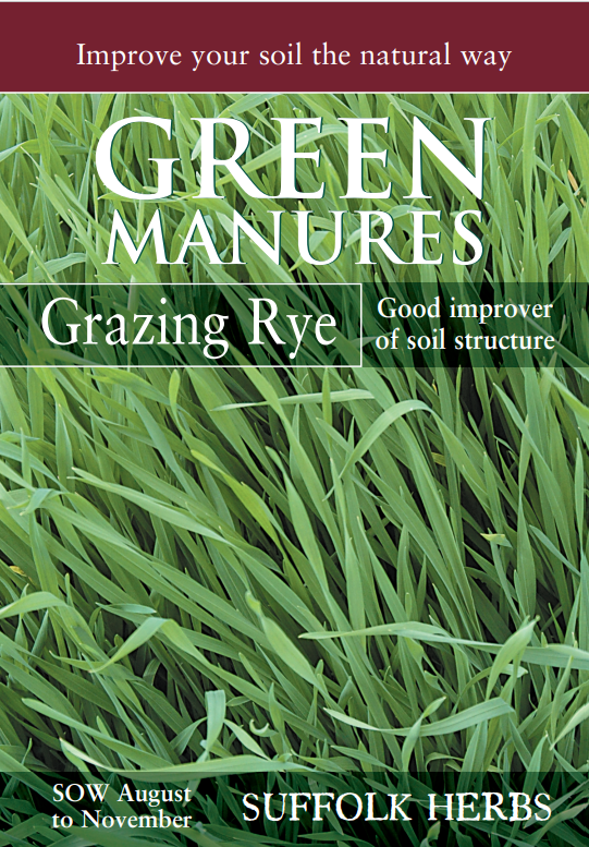 Kings Seeds Green Manure Grazing Rye 150g Seeds