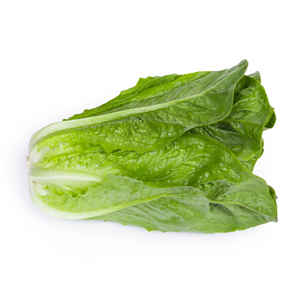 Lettuce Keona RZ (41-593) Untreated Seeds