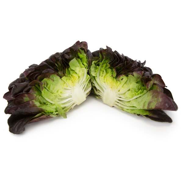 Lettuce Red Butter Multileaf Salanova Klimt RZ Seeds