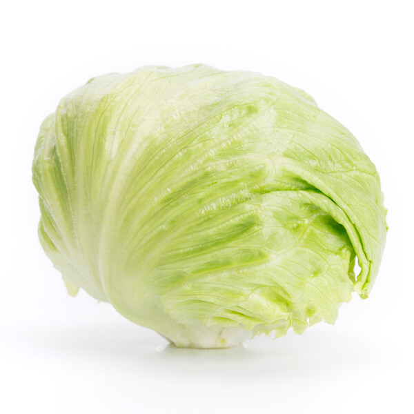 Lettuce Iceberg Kyoto RZ Seeds