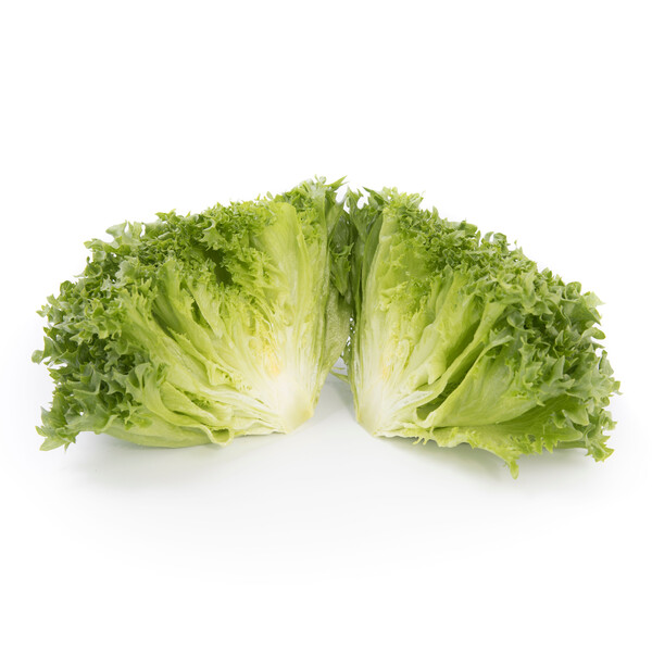 Lettuce Iceberg Lalique RZ Seeds