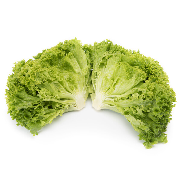 Lettuce Green Lollo Bionda Limassol RZ (85-142) Seeds