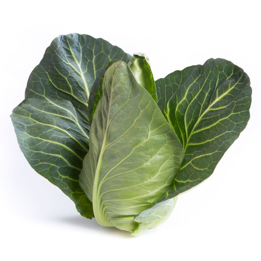 Cabbage Lincma RZ F1 (30-604) Untreated Seeds