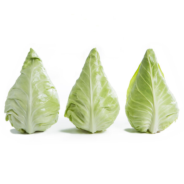 Cabbage Lincma RZ F1 (30-604) Untreated Seeds