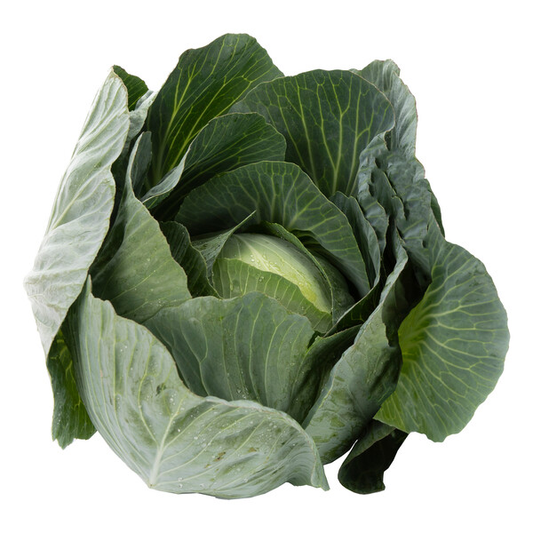 Cabbage Longma RZ F1 (30-294) Untreated Seeds