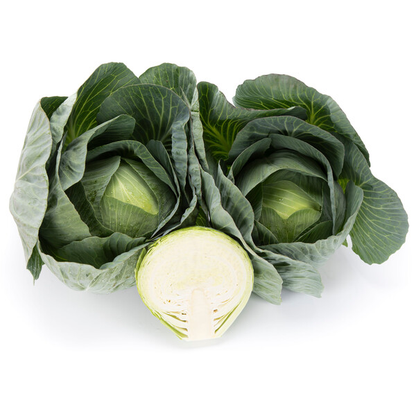 Cabbage Longma RZ F1 (30-294) Untreated Seeds