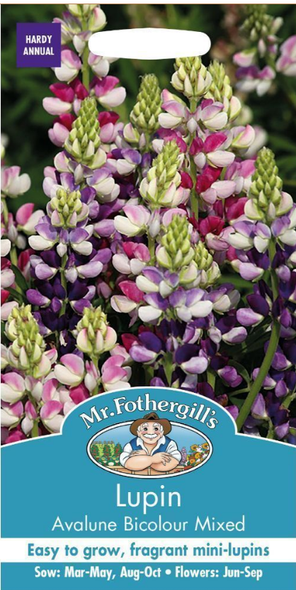 Mr Fothergills Lupin Avalune Bicolour Mix Seeds