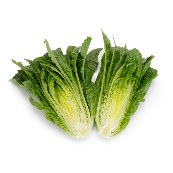 Lettuce Open Heart Cos Melitona RZ (41-560) Seeds