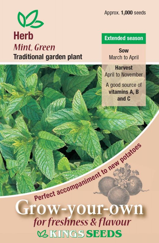 Kings Seeds Herb Mint Green 500 Seeds
