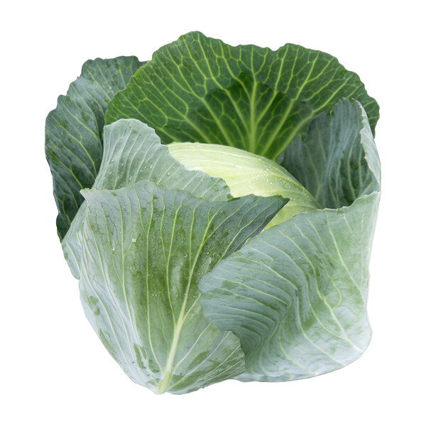 Cabbage Missourima RZ F1 (30-736) Untreated Seeds