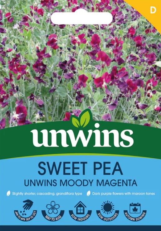 Unwins Flower Sweet Pea Unwins Moody Magenta - 21 Seeds