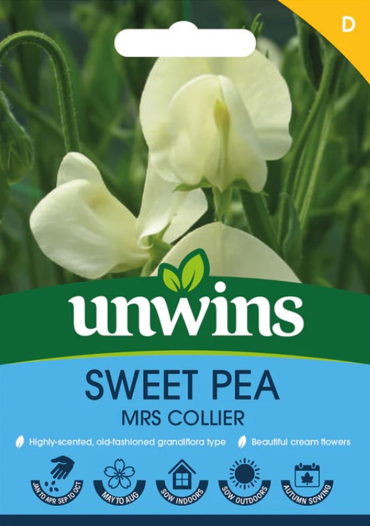 Unwins Flower Sweet Pea Mrs Collier - 21 Seeds