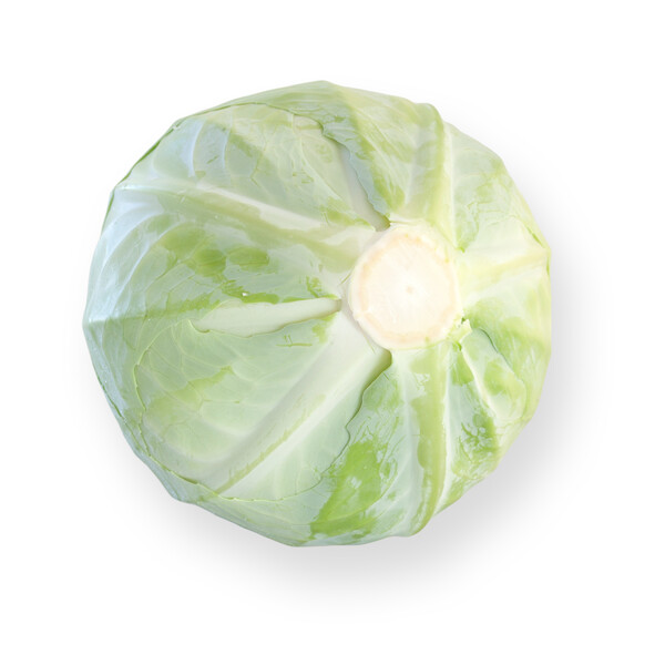 Cabbage Mucsuma RZ F1 (30-256) Untreated Seeds