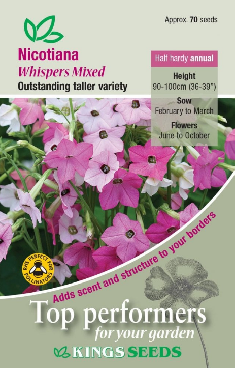Kings Seeds Nicotiana Whispers Mixed 70 Seed