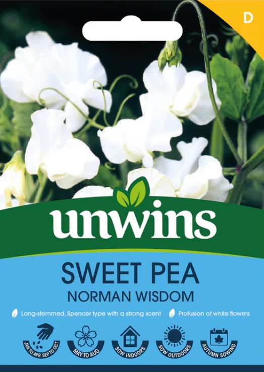 Unwins Flower Sweet Pea Norman Wisdom - 21 Seeds