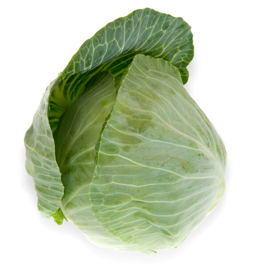 Cabbage Oriema RZ F1 (30-253) Untreated Seeds