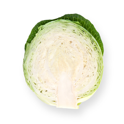 Cabbage Oriema RZ F1 (30-253) Untreated Seeds