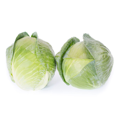 Cabbage Oriema RZ F1 (30-253) Untreated Seeds
