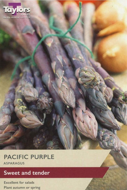 Asparagus Crowns – 2 Crown Packs (Connover’s Colossal, Gijnlim F1, Pacific Purple)