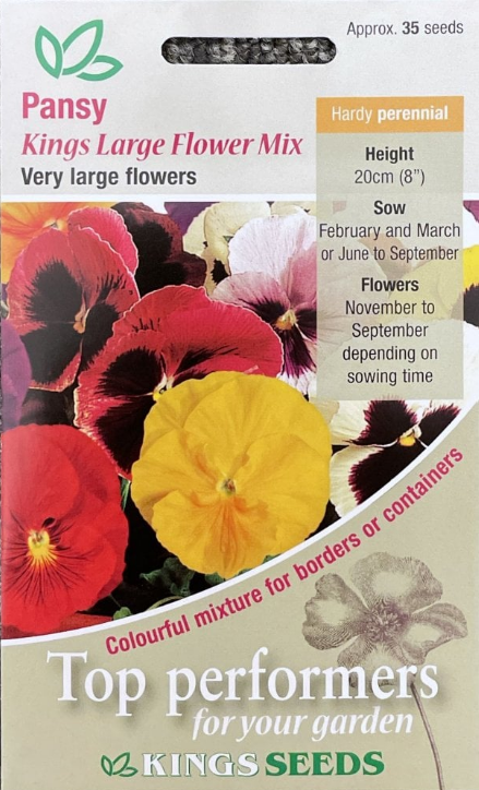 Kings Seeds Pansy Large Flower Mix 40 Seed