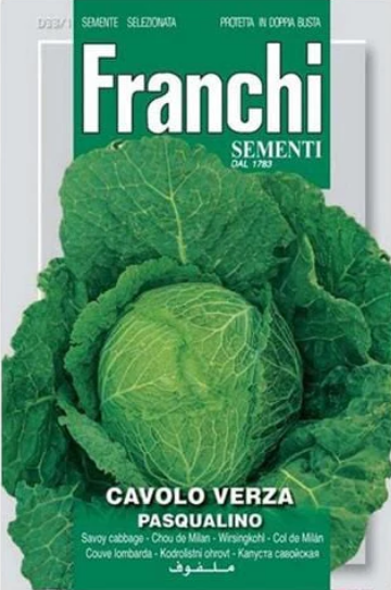 Franchi Seeds of Italy Savoy Cabbage Pasqualino Seeds