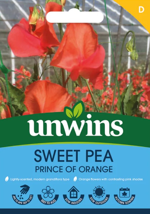 Unwins Flower Sweet Pea Prince Of Orange - 11 Seeds