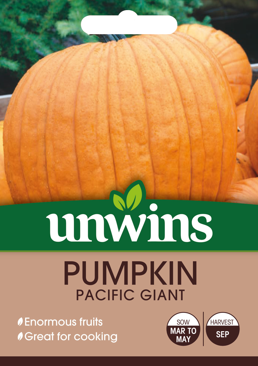 Unwins Pumpkin Atlantic Giant 10 Seeds