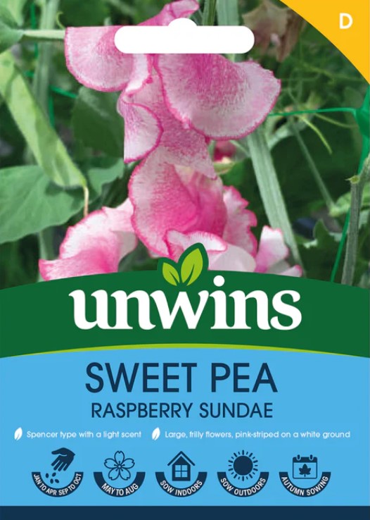 Unwins Flower Sweet Pea Raspberry Sundae - 21 Seeds