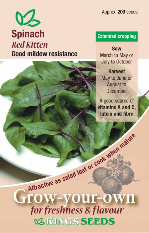 Kings Seeds Spinach Red Kitten 100 Seeds