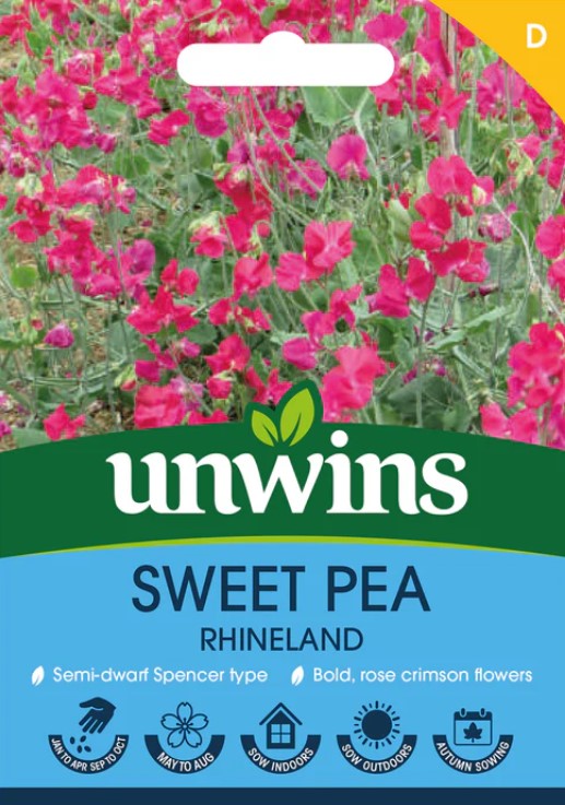 Unwins Flower Sweet Pea Rhineland - 11 Seeds