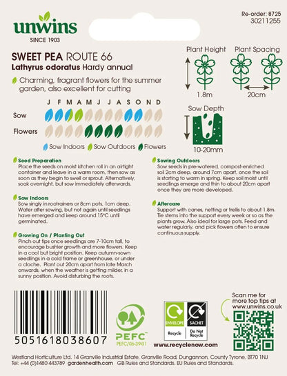 Unwins Flower Sweet Pea Route 66 - 11 Seeds