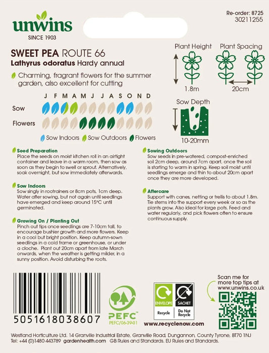 Unwins Flower Sweet Pea Route 66 - 11 Seeds