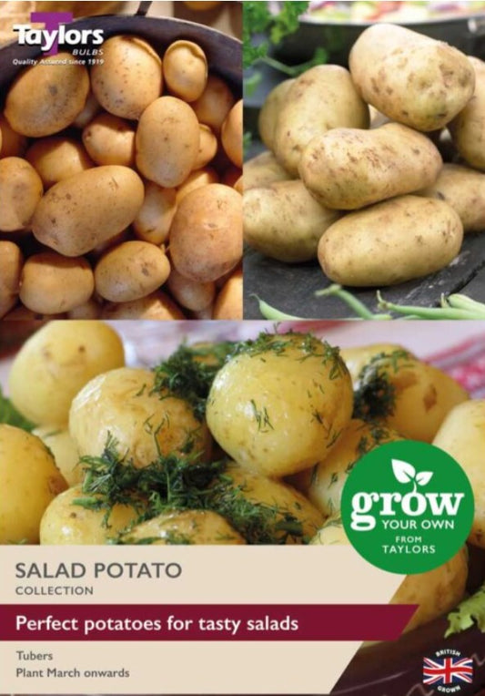 Taylors Seed Salad Potatoes - 3 Types