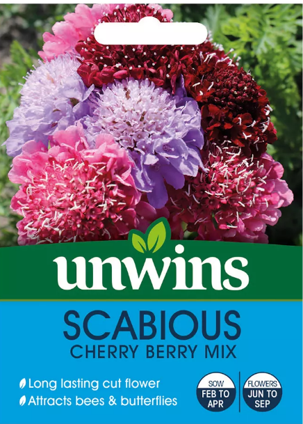 Unwins Scabiosa Cherry Berry Mix  50 Seeds