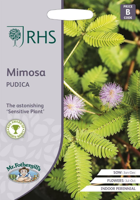 Mr Fothergills RHS Flower Mimosa Pudica 100 Seeds
