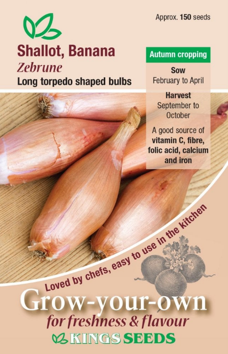 Kings Seeds Shallots Zebrune 150 Seeds