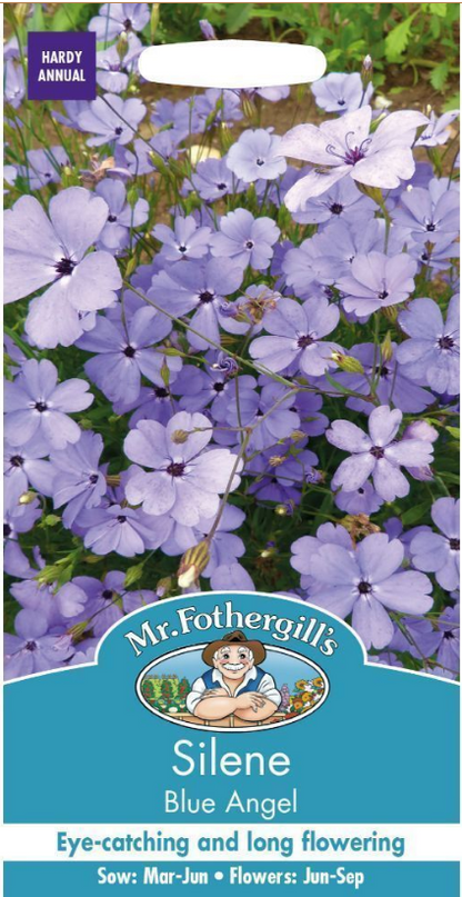 Mr Fothergills Silene Blue Angel 1000 Seeds