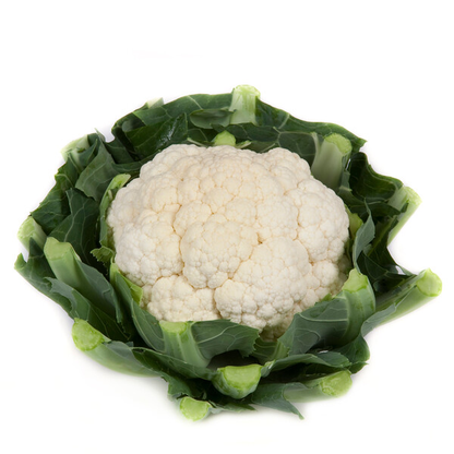Cauliflower Stabilis RZ F1 (26-283) Untreated Seeds