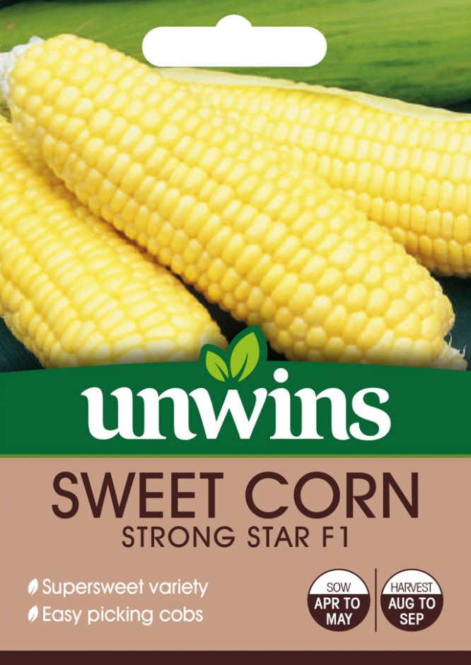 Unwins Sweetcorn Strong Star F1 Seeds – Super-Sweet Early Hybrid