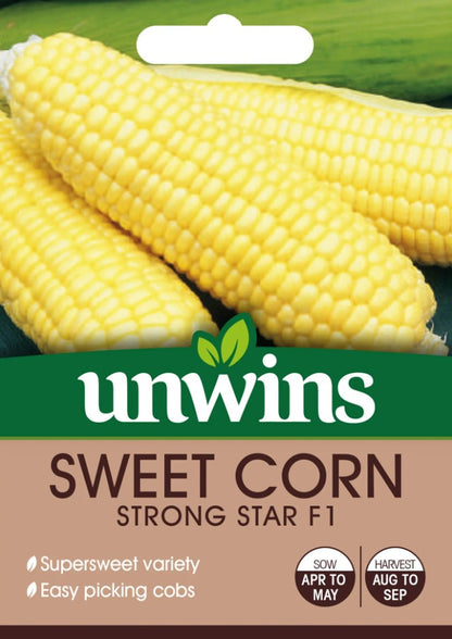 Unwins Sweetcorn Strong Star F1 Seeds – Super-Sweet Early Hybrid