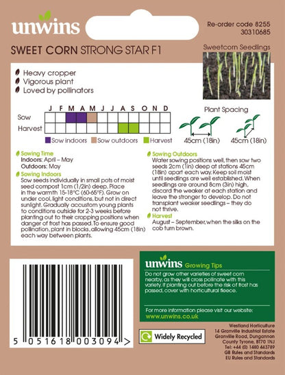 Unwins Sweetcorn Strong Star F1 Seeds – Super-Sweet Early Hybrid