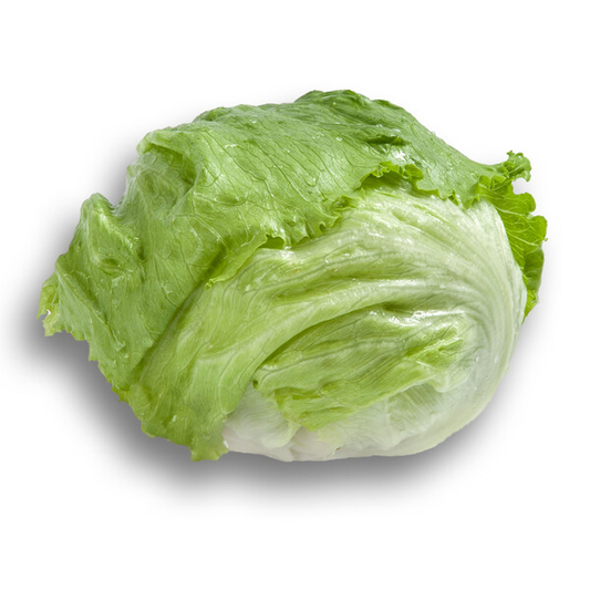 Lettuce Iceberg Sumarnas RZ (45-149) Seeds