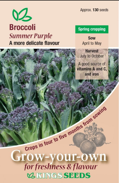 Kings Seeds Broccoli Summer Purple 150 Seeds