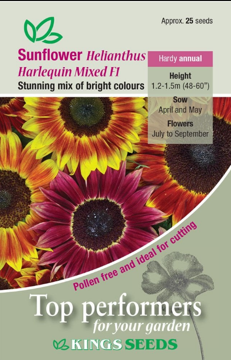 Kings Seeds Sunflower Harlequin Mixed F1 - 25 Seed