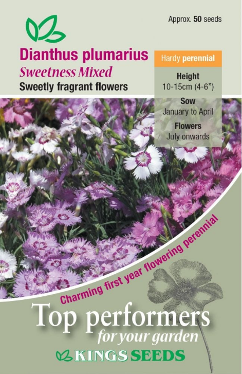 Kings Seeds Dianthus plumarius Sweetness Mixed 50 Seed
