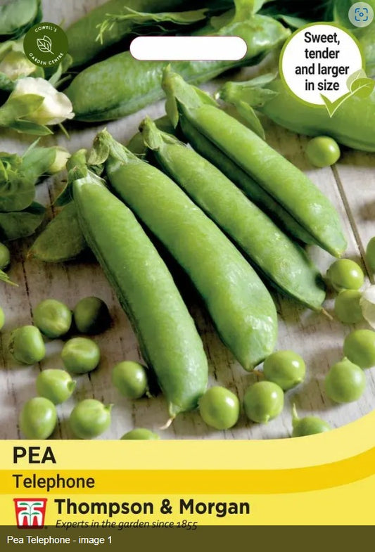 Thompson & Morgan Vegetable Pea Telephone - 200 Seeds