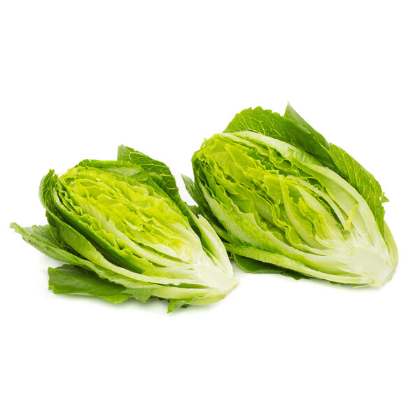 Lettuce Cos Tendita RZ (41-655) Seeds